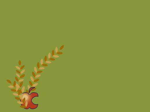 383996 (a): :1024x768